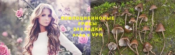 ПСИЛОЦИБИНОВЫЕ ГРИБЫ Аркадак